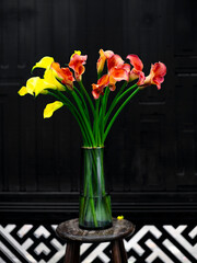 Isolated vase of red and yellow calla lilies