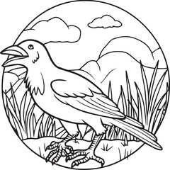 Crow coloring pages. Crow bird outline vector for coloring book