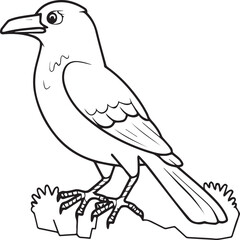 Crow coloring pages. Crow bird outline vector for coloring book