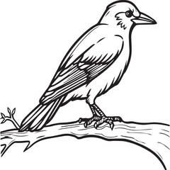 Crow coloring pages. Crow bird outline vector for coloring book