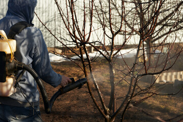 The first spring treatment of a garden from diseases and pests. A man using an aerosol generator sprays fruit trees. Remnants of a snowdrift in the background.