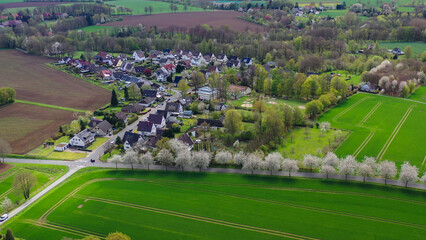 Aerial drone view of spring landscape a road among blossoming cherry alley near village and green fields. Germany countryside. - 781533872