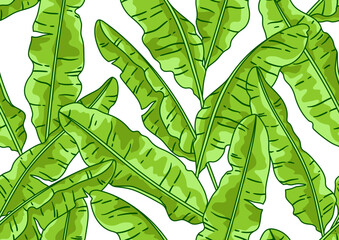 Pattern with banana palm leaves. Decorative image of tropical foliage and plants.