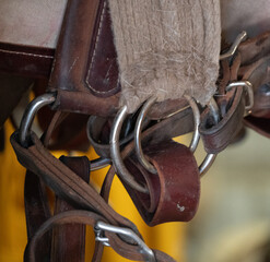 close up of string and leather straps of pack girth and strap metal round rings and buckles brown...