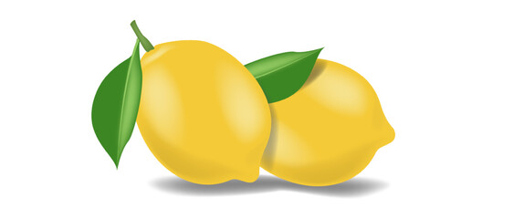 A lemon is a citrus fruit known for its bright yellow color, sour taste, and acidic juice. Lemons are a versatile ingredient used in both sweet and savory dishes vector illustration