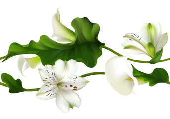 Tropical flowers. Beautiful seamless pattern of white lilies and callas. Floral background. Green leaves. Border.