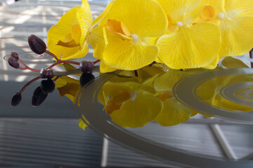 Kitchen furniture. Branch of delicate yellow flowers on black glass table close-up