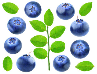 Collection of blueberries with leaves isolated on white - 781543463