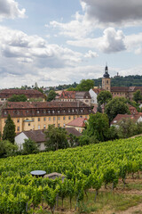 Blick über die Weinberge zur historischen Altstadt von Bamberg vom Michaelsberg aus.