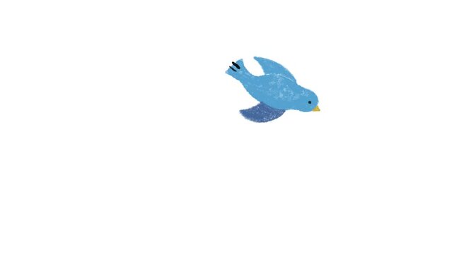 flying blue bird, hand drawn frame-by-frame animation