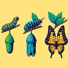 butterfly vector art

