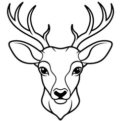 Fototapeta premium head of deer