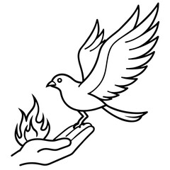 dove of peace Line art