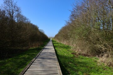 Fototapeta premium wooden walkway to the sea with shadow on one side and sun on the other