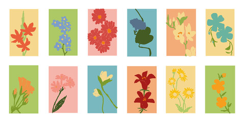 Abstract plants elements. Canva elements