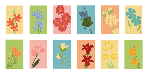 Abstract plants elements. Canva elements
