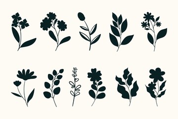 Leaves Flowers Branches Silhouettes Set Wild Plants Garden Flowers Silhouettes White 2