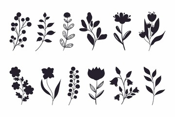 Leaves Flowers Branches Silhouettes Set Wild Plants Garden Flowers Silhouettes White 3