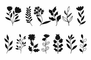 Leaves Flowers Branches Silhouettes Set Wild Plants Garden Flowers Silhouettes White