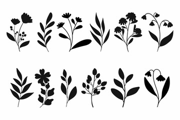 Leaves Flowers Branches Silhouettes Set Wild Plants Garden Flowers Silhouettes White 5