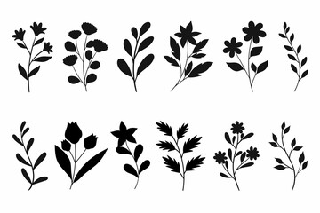Leaves Flowers Branches Silhouettes Set Wild Plants Garden Flowers Silhouettes White 7