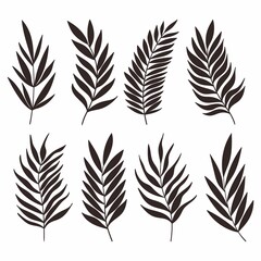 Palm Tree Leaf Silhouettes Set Isolated White Background