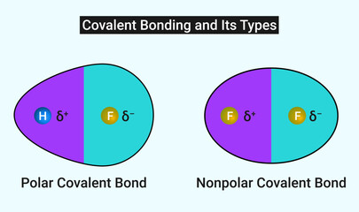 Covalent Bonding and Its Types (Polar Covalent Bond and Nonpolar Covalent Bond)