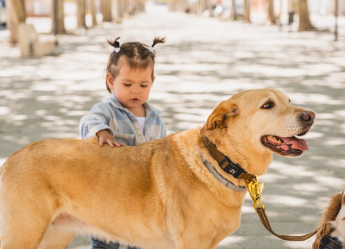 niña feliz con perros