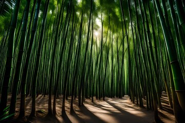 bamboo forest at night