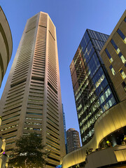 Skyscrapers in downtown city at night. Tall buildings in Sydney, Australia at sunset.