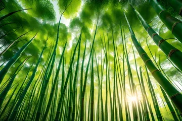 Gordijnen green bamboo forest © Momina