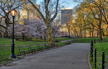 Central Park in spring - 781558066