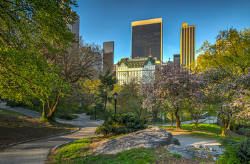 Central Park in spring - 781558440