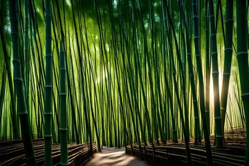 Rucksack bamboo forest in the morning © Momina