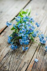Small bouquet of blue forget-me-not flowers on the wooden background. Selective focus. Shallow depth of field.