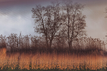 Reflection of trees in the water at sunset. Sunset reflection in water. Tree shadow on water. 