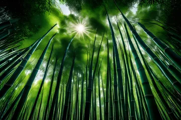  bamboo forest background © Momina