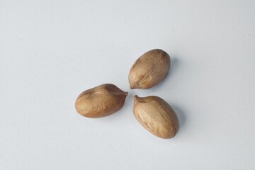 Grãos de amendoim em close-up em fundo branco