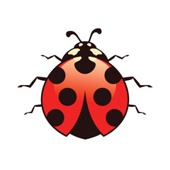 Red Ladybug Vector Character Mascot