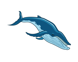Whale Vector Character Mascot