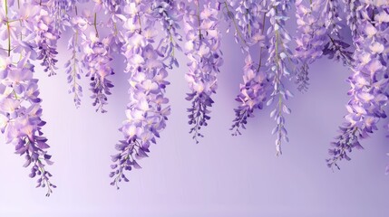 a wisteria floral banner accentuated by a purple gradient background, offering a spacious blank area ideal for customized content.