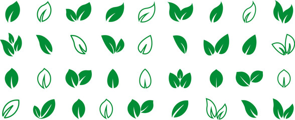 Green leaf vector icons. Eco leaf logo. Simple linear leaves of trees and plants. Elements for eco friendly and bio logo,vegan. Green leaves collection. Ecology leaf symbol.