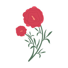 Wild blooming meadow flower isolated on white background. Red wildflower in flat style. Bunch of two gorgeous floral plant. Beautiful decorative floral design element. Colored flat vector illustration