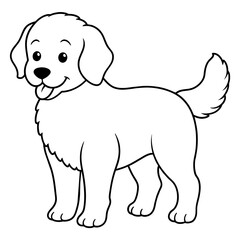 labrador retriever dog