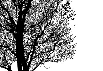 silueta arbol, arbusto, hojas, ramas, otoño, ilustracion, bosques, naturaleza, sequia, atmosfera