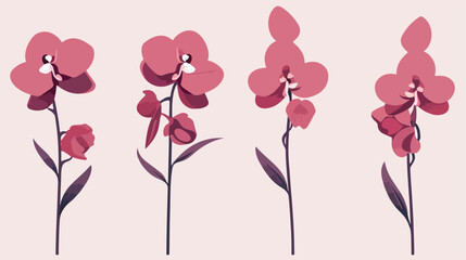 Minimalist Orchid Sketches minimalist design orchid