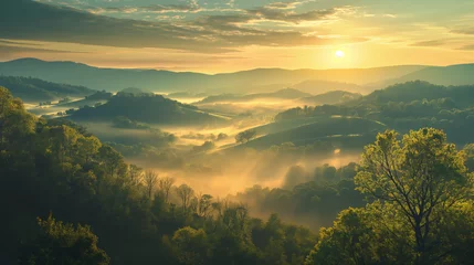 Papier Peint photo autocollant Olive verte This tranquil scene captures a serene sunrise peeking through foggy, forest-covered hills, casting a golden glow