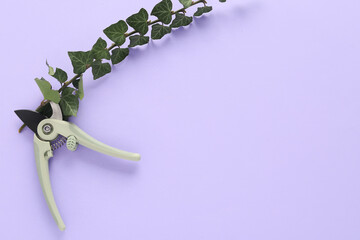 Leaves and secateurs on purple background