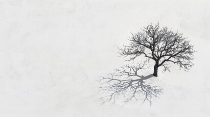Fototapeta na wymiar Solitude in Winter: Bare Tree Casting a Lonely Shadow on a Textured Snow Background 