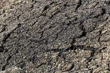 Dry soil plain texture background